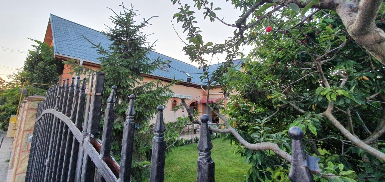 Vila Vasile Нэводари Экстерьер фото